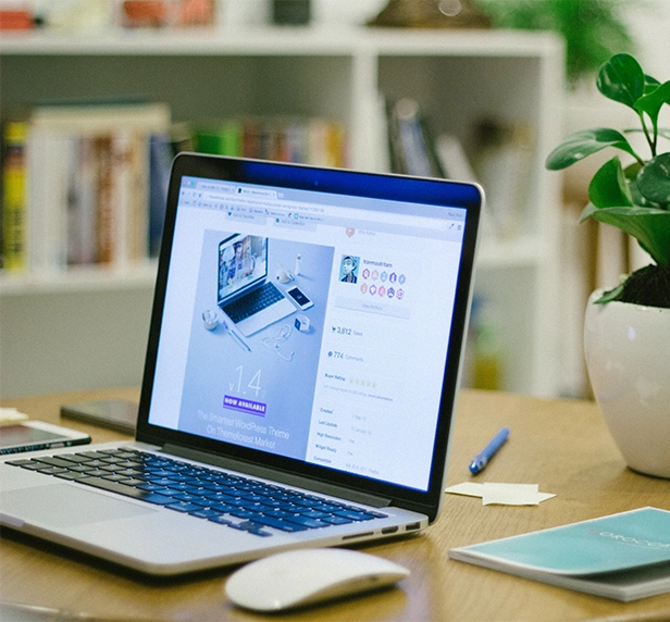 web-development web-development